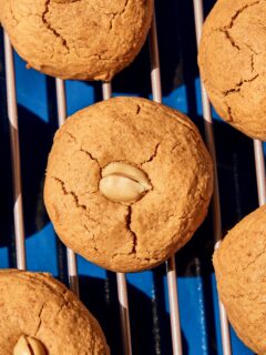 Courtesy Chinese Peanut Butter Cookies Recipe Photo