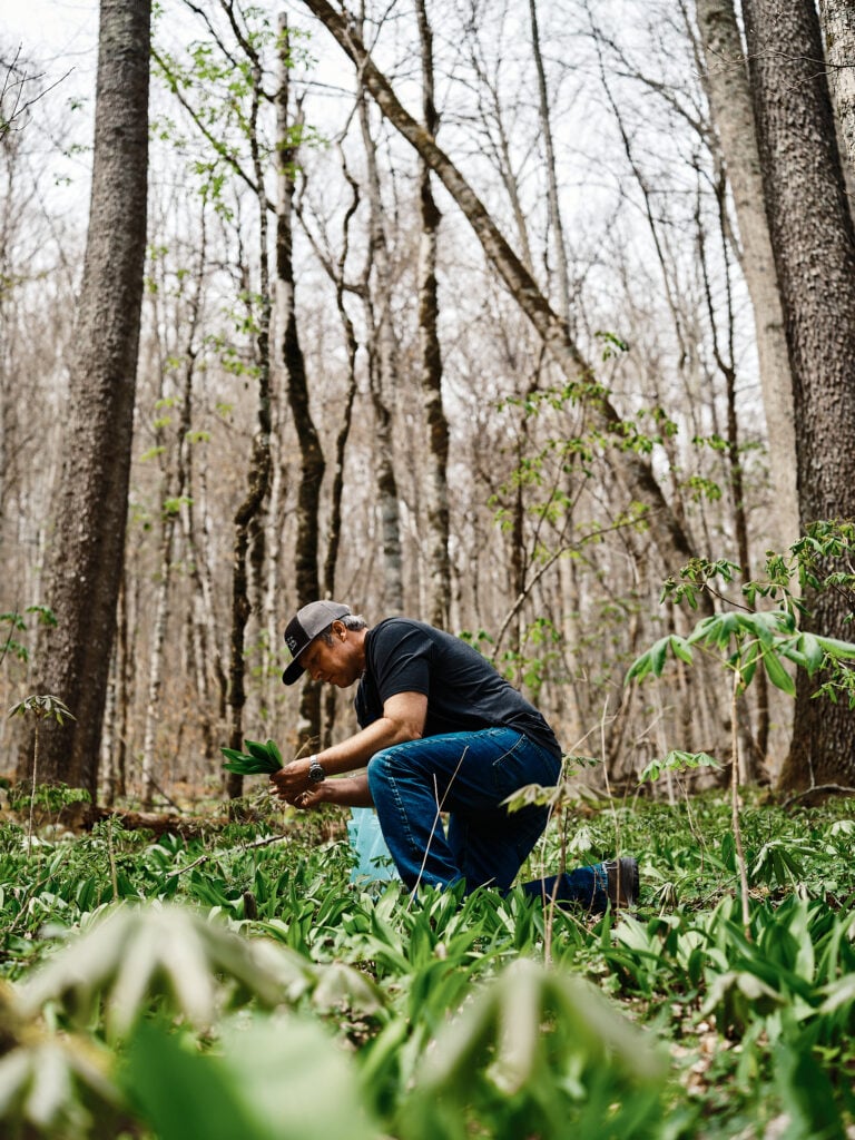 Courtesy Photo of Chef William Dissen Foraging