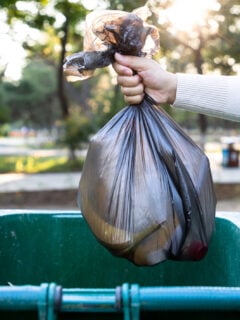 How to Reduce Food Waste Photo