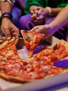 Can You Recycle Pizza Boxes Photo