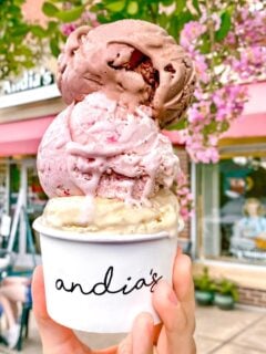 Three scoops of Andia's ice cream in a cup, held up in the air in front of one of the business's stores.