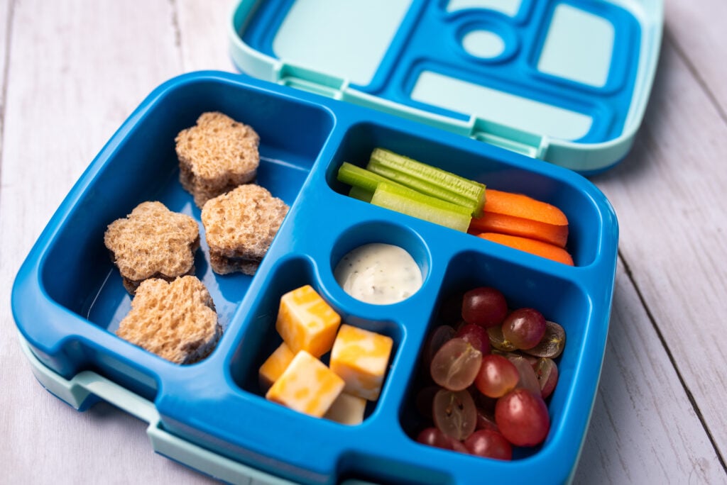 Kid school lunch bento box set, healthy food options for toddler and young kids. Finger food lunch ideas for kids.